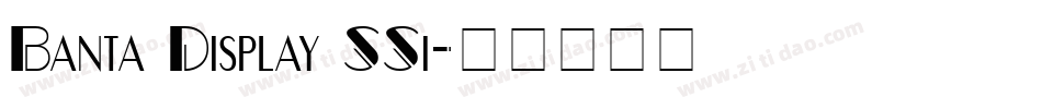 Banta Display SSi字体转换